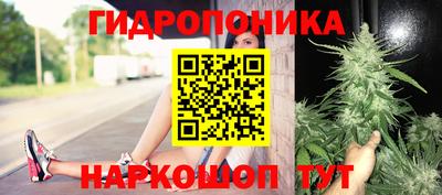 прущие грибы Апрелевка