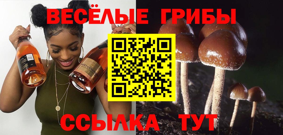 Псилоцибиновые грибы мицелий  Вход с VPN  купить наркоту  Баксан 